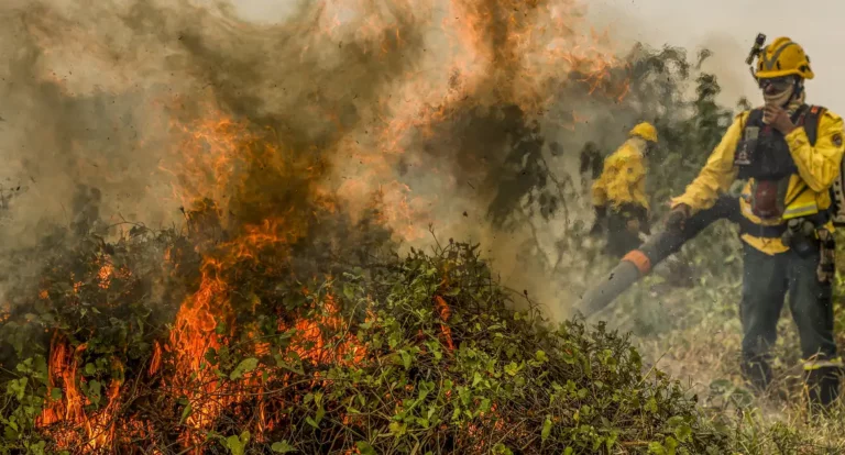Fogo já consumiu 1,3 milhão de hectares e volta a aumentar no Pantanal