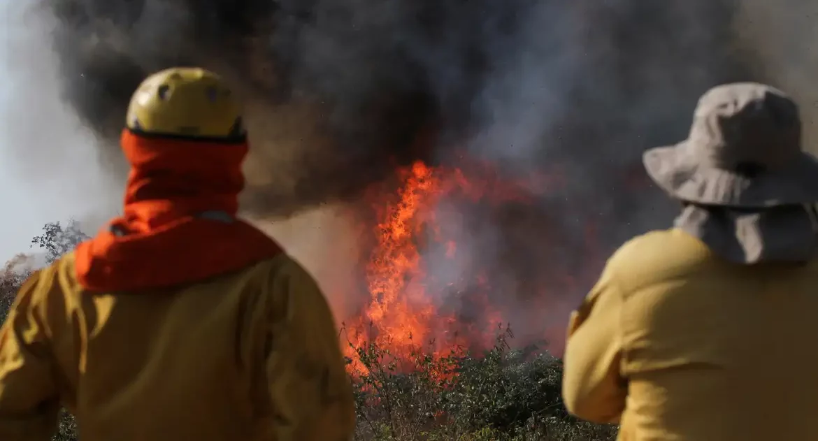 Bolívia enfrenta número recorde de incêndios florestais