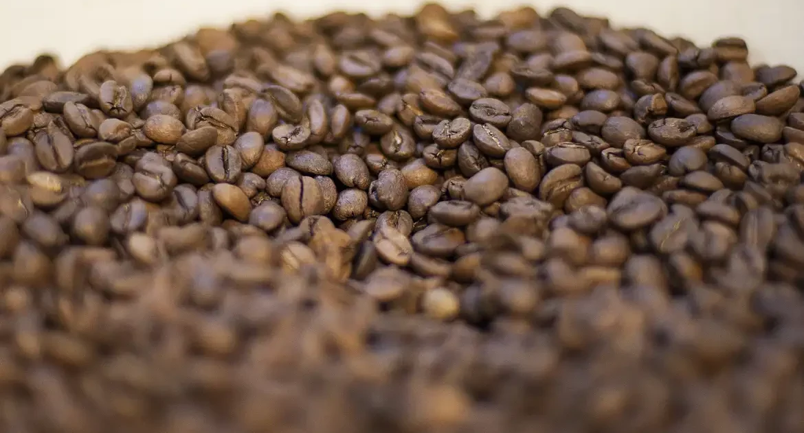 Agricultura manda recolher 16 marcas de cafés impróprios para consumo