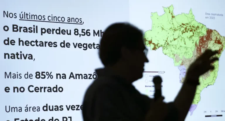Brasil já perdeu 33% das áreas naturais de seu território
