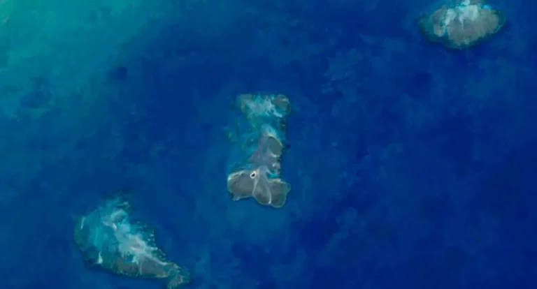 Pesquisa aponta 20,4 mil hectares de recifes de coral na costa do país