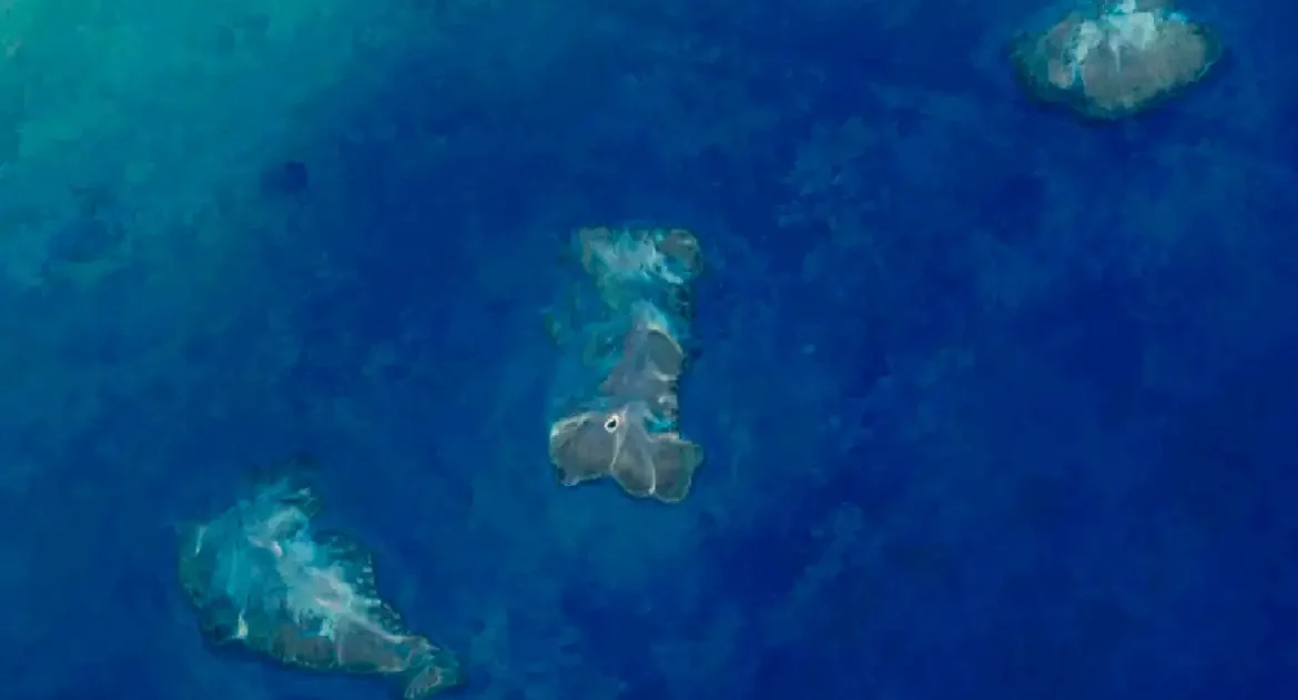 Pesquisa aponta 20,4 mil hectares de recifes de coral na costa do país