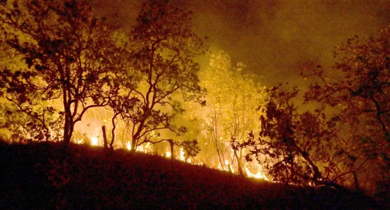 Incêndios: governo vai concentrar ações em 21 municípios da Amazônia