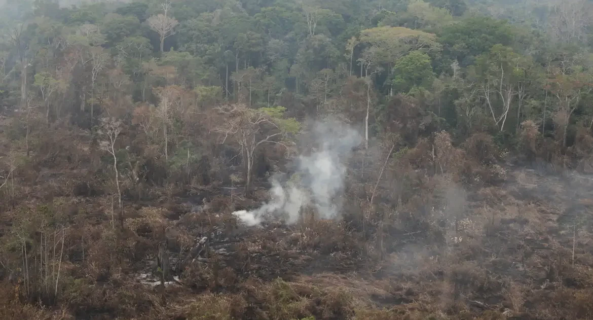 Amazônia tem 2,5 milhões de hectares queimados em agosto