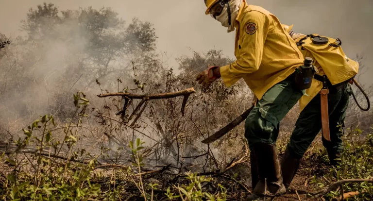 Incêndios no Pantanal já consumiram este ano mais de 15% do bioma