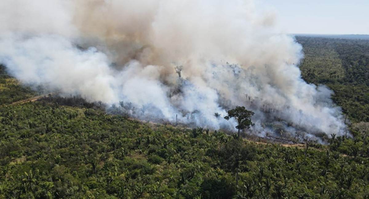 CORONEL CHRISOSTOMO: Queimadas em RO gera preocupação com a saúde por aumentarem 183% em 2024 e elevam poluição do ar a níveis recordes - News Rondônia CORONEL CHRISOSTOMO: Queimadas em Rondônia gera preocupação com a saúde da população por aumentarem 183% em 2024 e elevam poluição do ar a níveis recordes, aponta Inpe