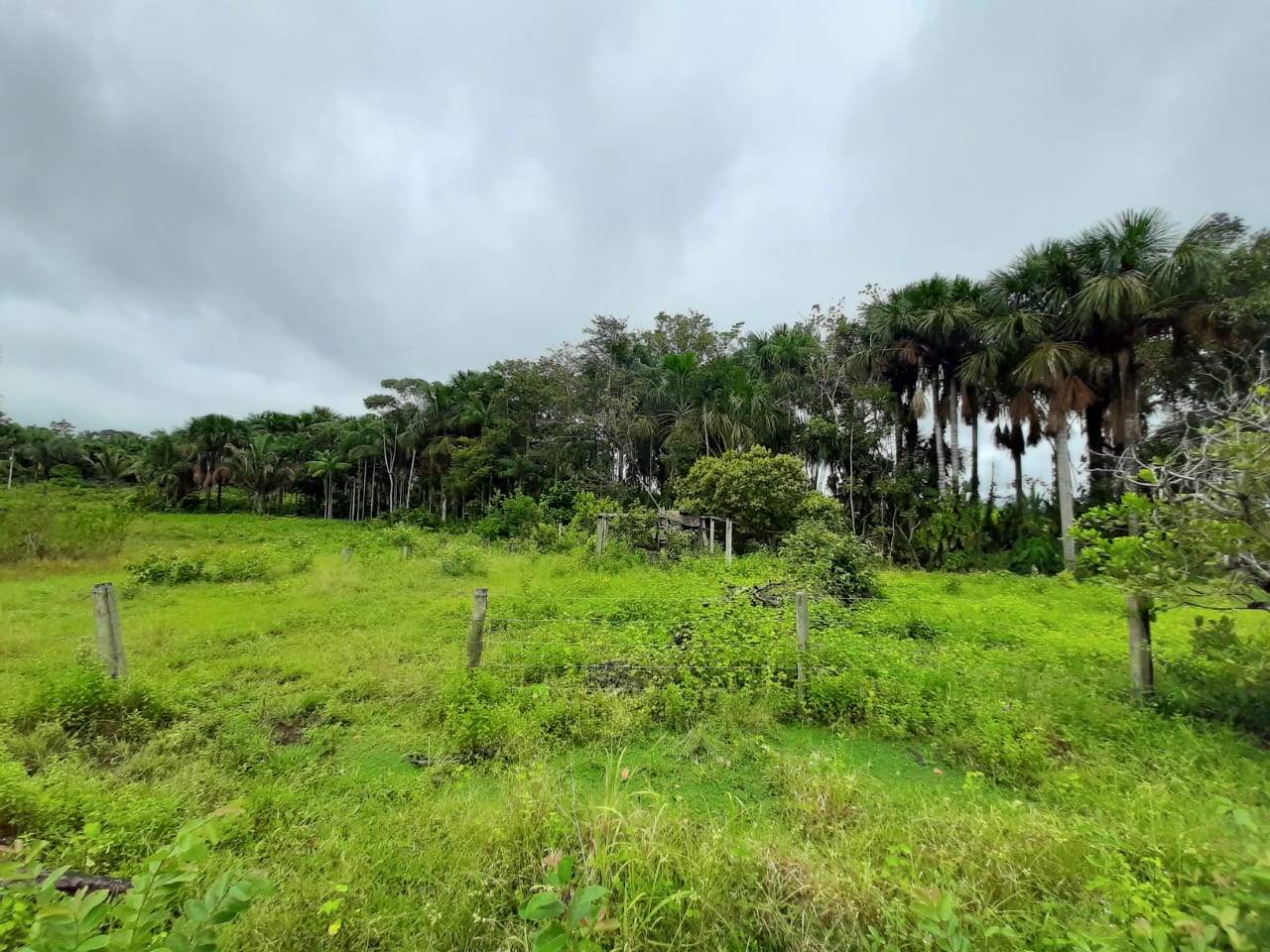 Friagem de Origem Polar Avança e Pode Derrubar as Temperaturas em Rondônia - News Rondônia