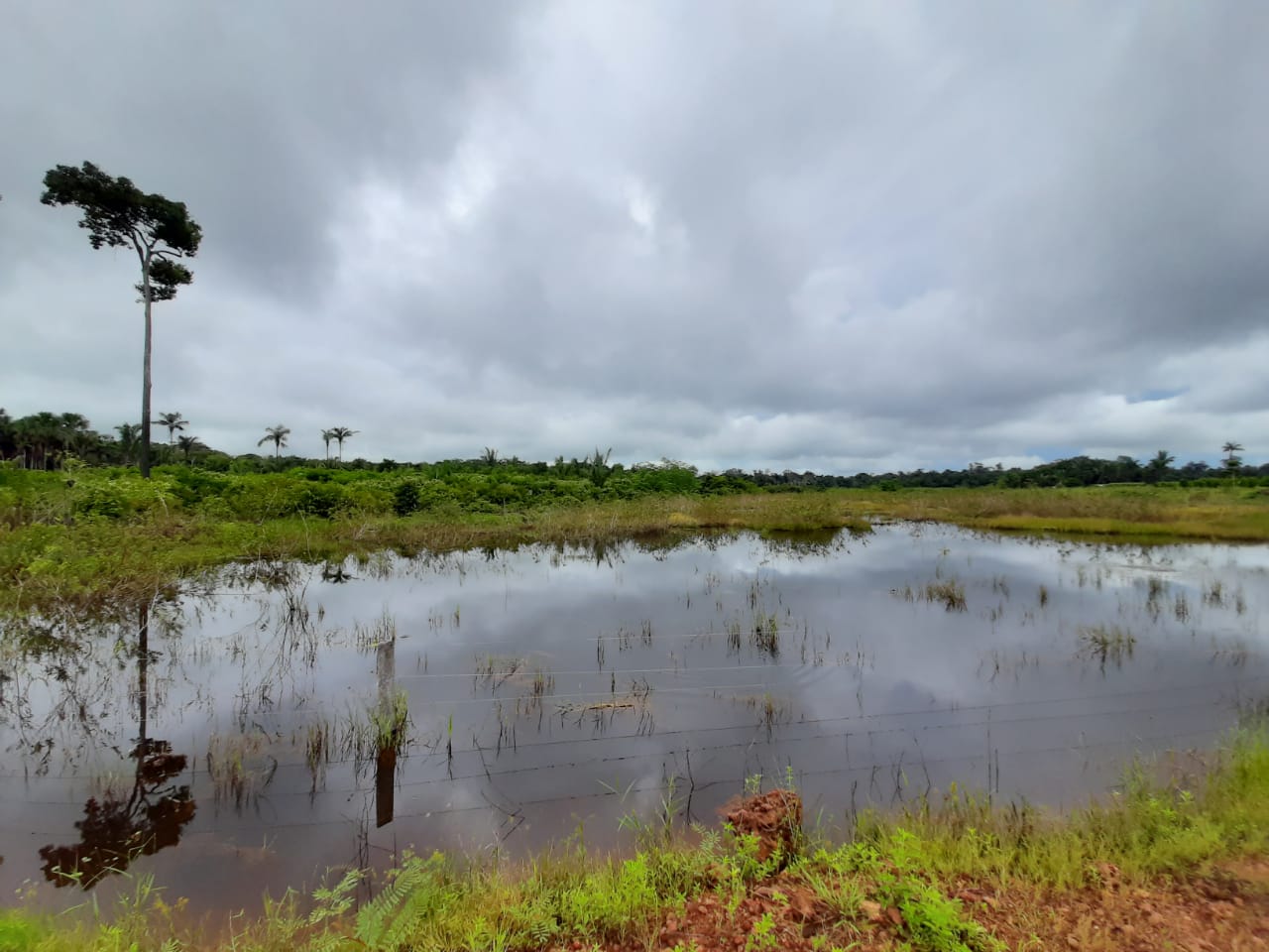 Friagem de Origem Polar Avança e Pode Derrubar as Temperaturas em Rondônia - News Rondônia