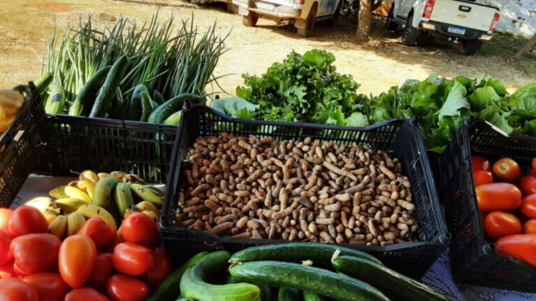 Programa de Aquisição de Alimentos do governo de RO beneficia agricultores familiares, na região do Cone Sul