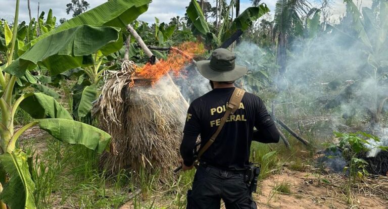 Polícia Federal investiga ataque a indígenas na TI Igarapé Lage