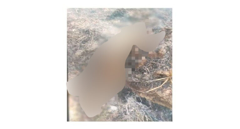 Homem morre carbonizado em incêndio em terreno baldio na cidade de Vale do Paraíso