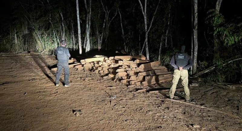 Polícia Civil prende seis suspeitos e apreende 10 caminhões de madeira ilegal que estava sendo trazida para Rondônia