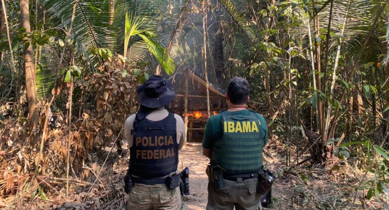 PF deflagra operação Pagarod 2 na terra indígena Sete de Setembro e Operação Xalawata 2 em terra indígena Zoró