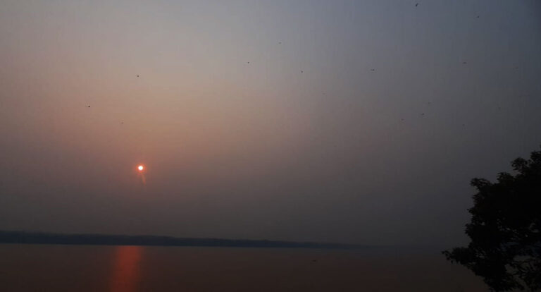 Estamos respirando fumaça com a sensação de que nada vem sendo feito para conter os incêndios - News Rondônia