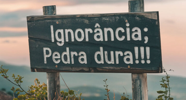 Coluna Entre Linhas: Ignorância; pedra dura!!! - News Rondônia