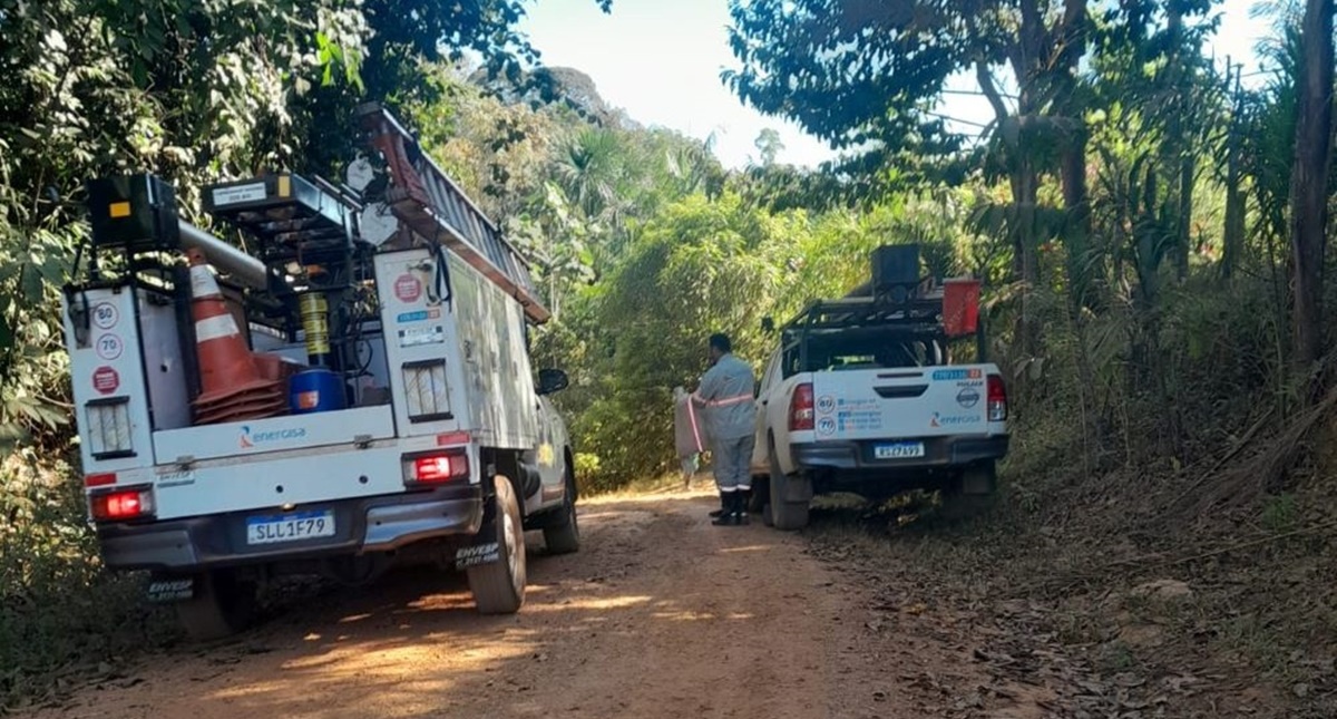 Solicitação do deputado Alan Queiroz leva poda de árvores à comunidade Terra Santa