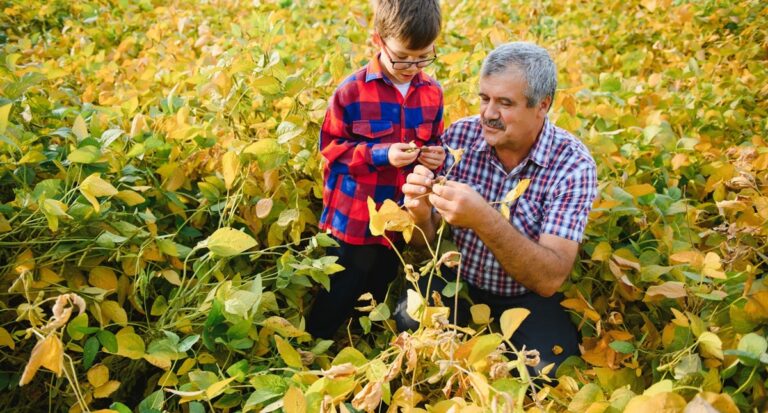 Agricultura familiar deve aquecer e movimentar o mercado de máquinas - News Rondônia