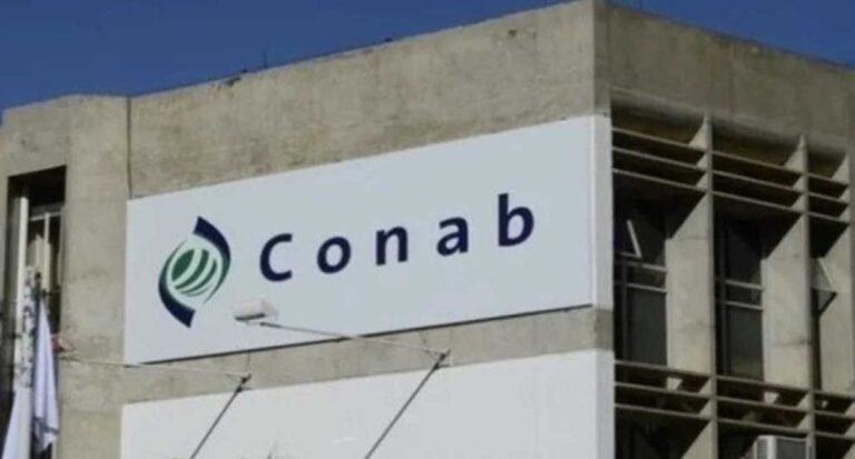 Anuário da Conab aponta aumento superior a 190% nas exportações de milho e soja pelo Arco Norte