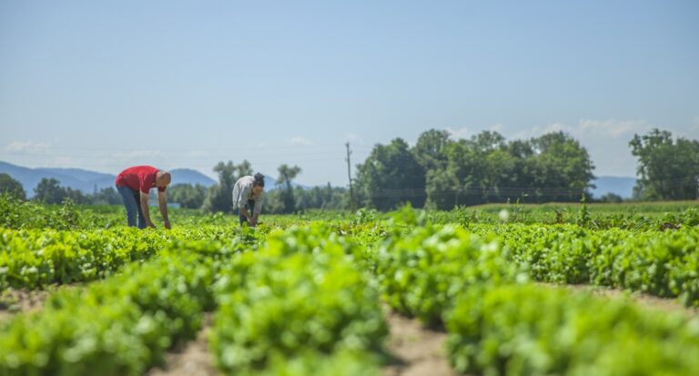 Entenda a presença invisível do agro no nosso dia a dia