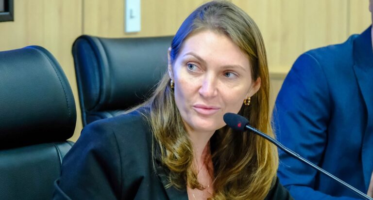 Distrito de Bom Sucesso ganhará portal com recursos da Deputada Lebrinha - News Rondônia