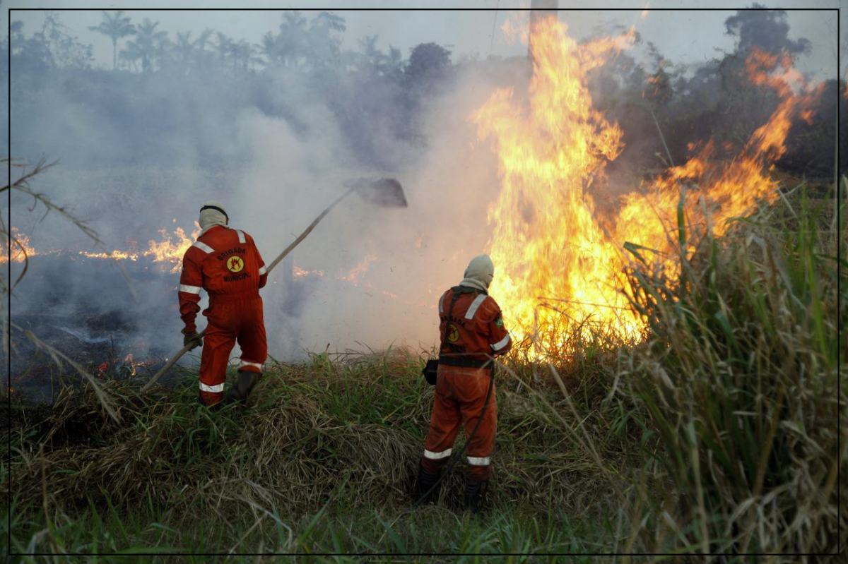 Corpo de Bombeiros Militar intensifica ações da Operação Verde Rondônia no combate aos incêndios no estado - News Rondônia