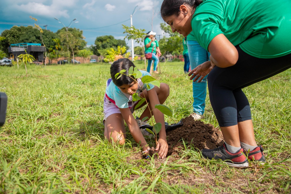 DIA DA ÁRVORE - Plantio de mudas e outras iniciativas têm contribuído para a recuperação de áreas degradadas de Porto Velho - News Rondônia