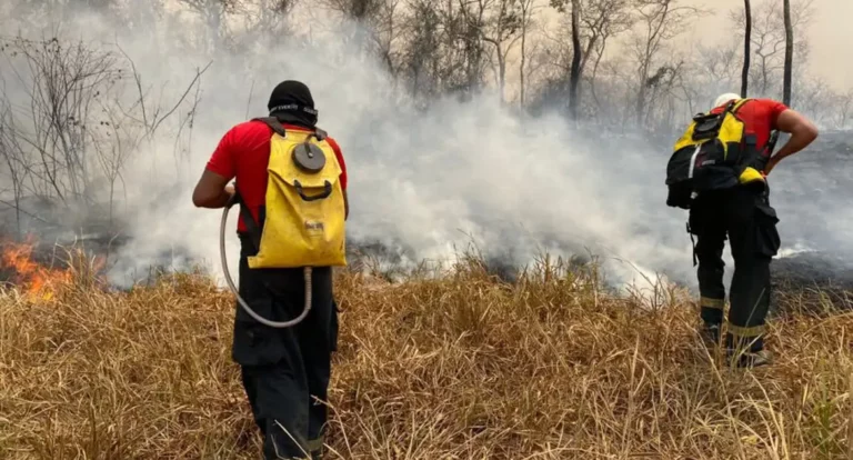 Incêndio na Floresta Nacional de Brasília é extinto