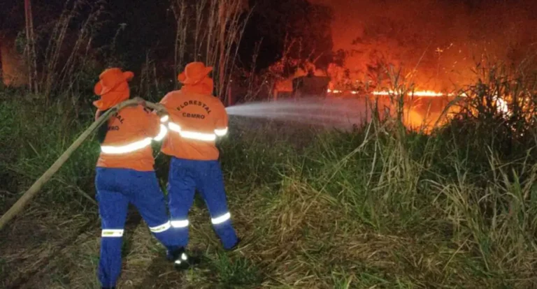 Todos os biomas do Brasil registram focos de incêndios nesta sexta