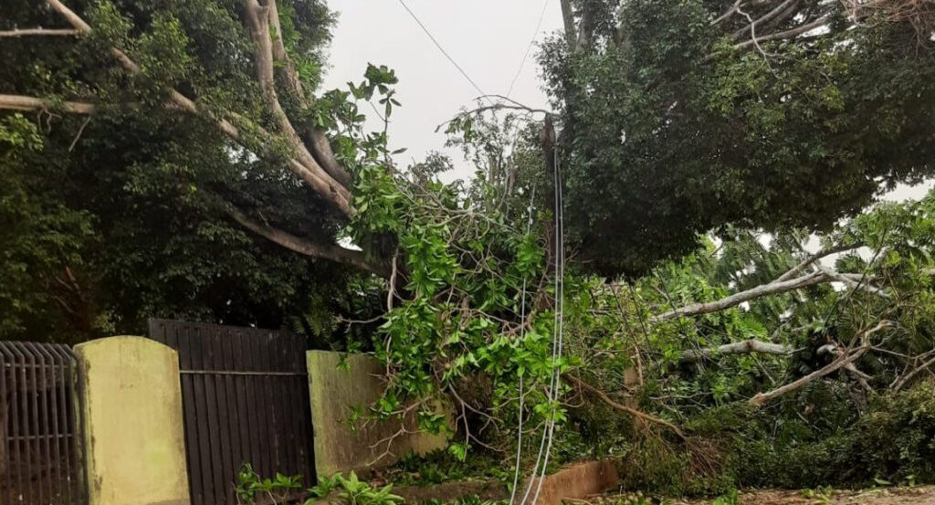 Tempestade intensa causa grandes estragos, em Ji-Paraná