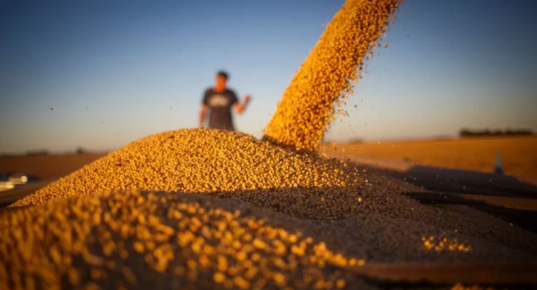 Conab estima produção de grãos em 298,41 milhões de toneladas no último levantamento da safra 2023/2024