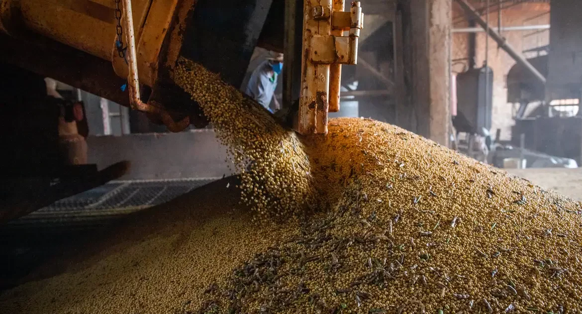 Após seis anos em alta, valor da produção agrícola cai 2,3% em 2023