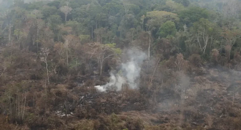 Delegado da PF diz que há indícios de ação coordenada em incêndios