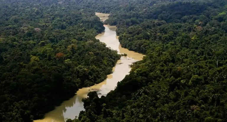 Governo entra com primeira ação por danos climáticos contra a Amazônia