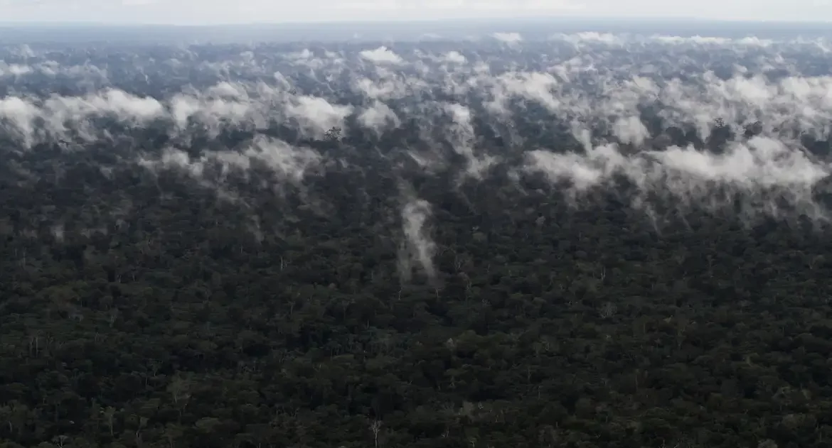 Emissão de gases do efeito estufa por queimadas na Amazônia cresce 60%