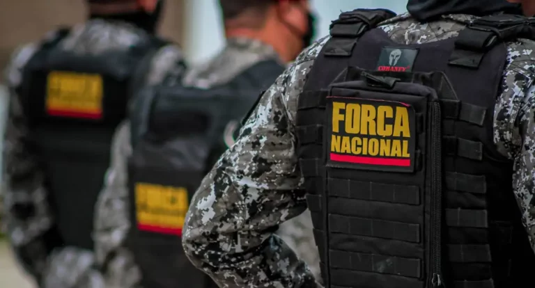 Força Nacional combaterá incêndios florestais em Rondônia e outros cinco estados