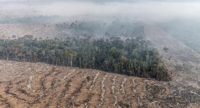 Fogo na Amazônia se concentra em locais onde agronegócio avança