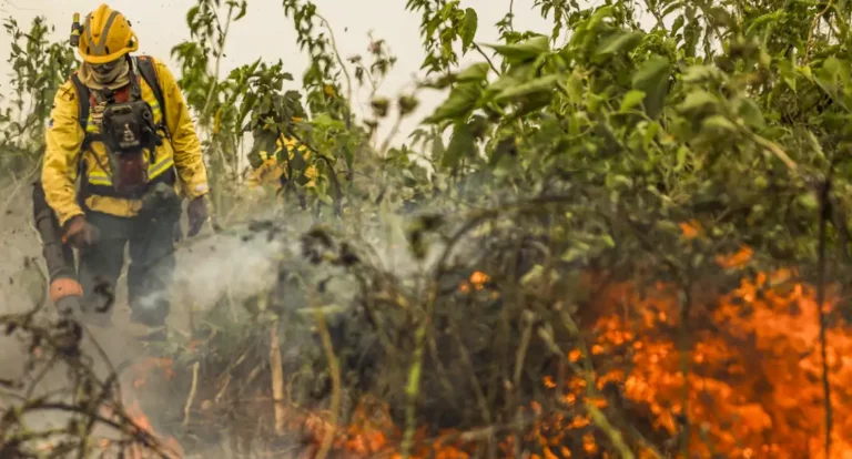 Brasil já registou mais de 154 mil focos de calor este ano