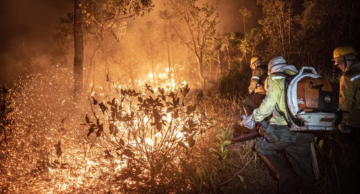 Monitoramento mostra que 99% dos incêndios são por ação humana