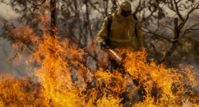 Entenda as linhas de investigação dos incêndios florestais no país