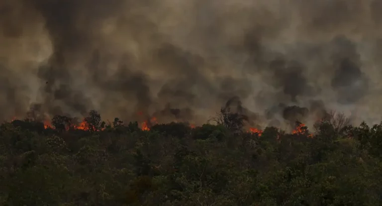 Secretário do MMA vê conotação politica em queimadas na Amazônia