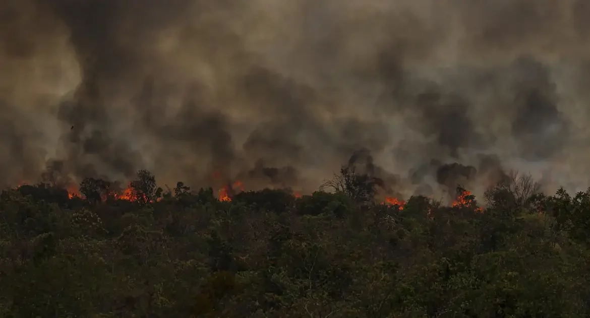 Secretário do MMA vê conotação politica em queimadas na Amazônia