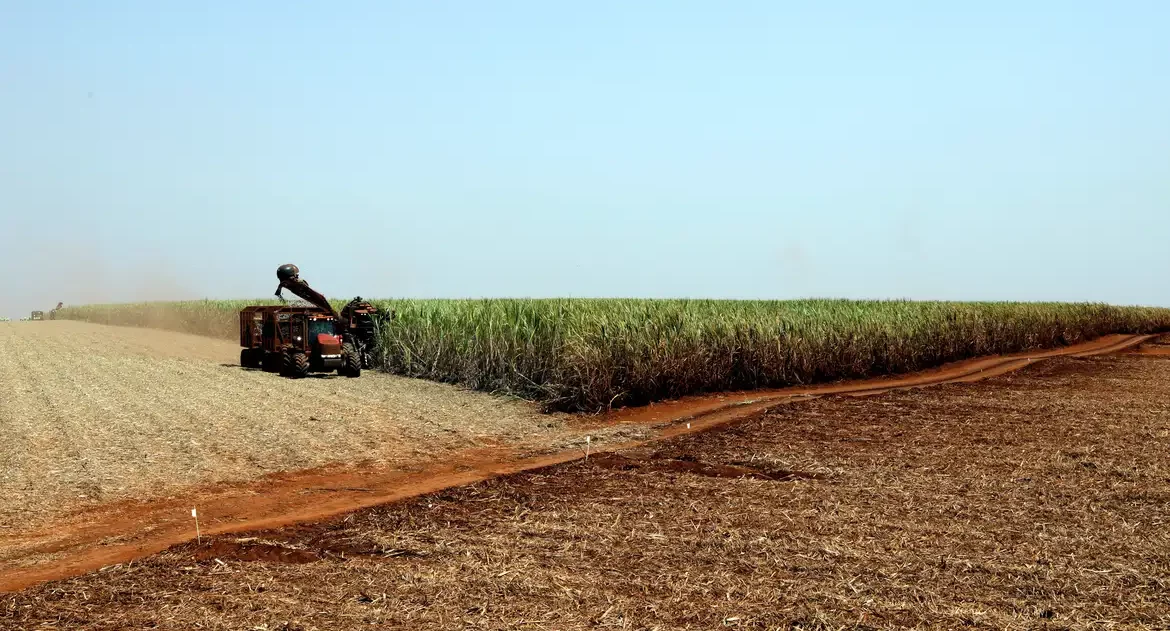 Estudo indica bioinsumo como solução sustentável na produção alimentar