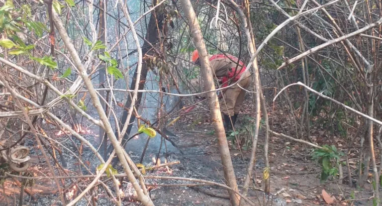 Incêndio na Chapada dos Veadeiros ainda não foi controlado