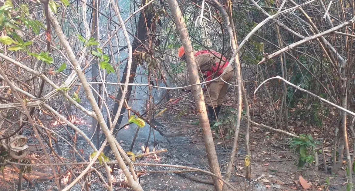Incêndio na Chapada dos Veadeiros ainda não foi controlado