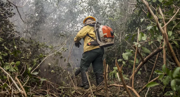 Ibama multa fazendeiros em R$ 100 milhões por incêndio no Pantanal