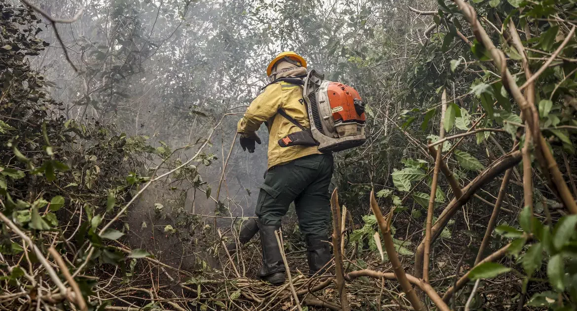 Ibama multa fazendeiros em R$ 100 milhões por incêndio no Pantanal