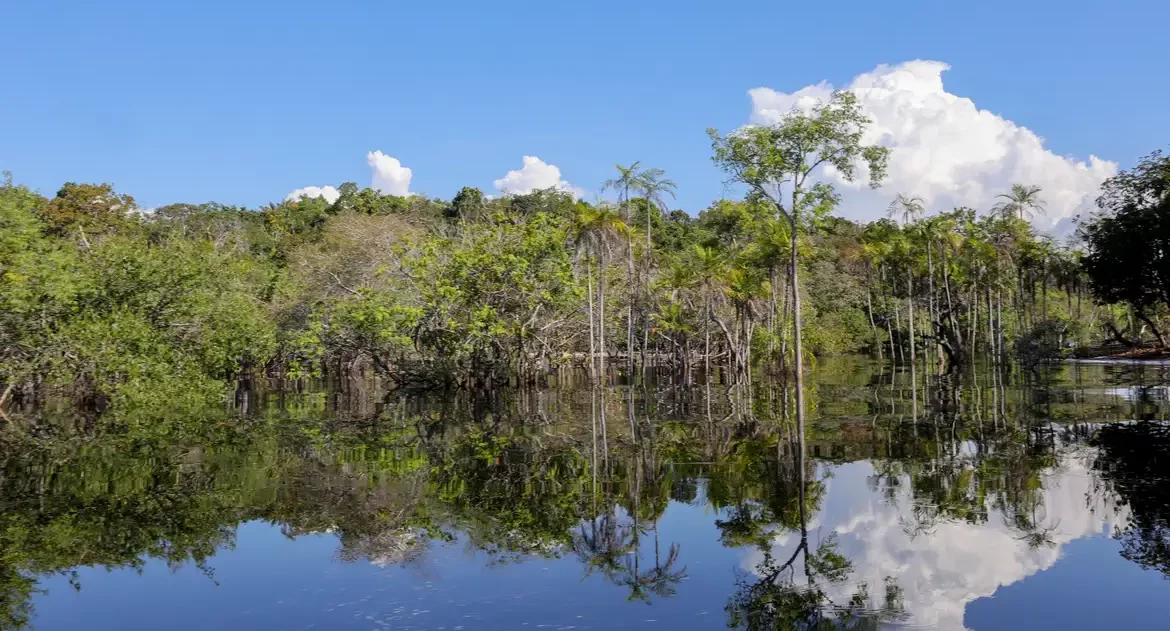Rio Negro pode passar por pior seca da história ainda esta semana