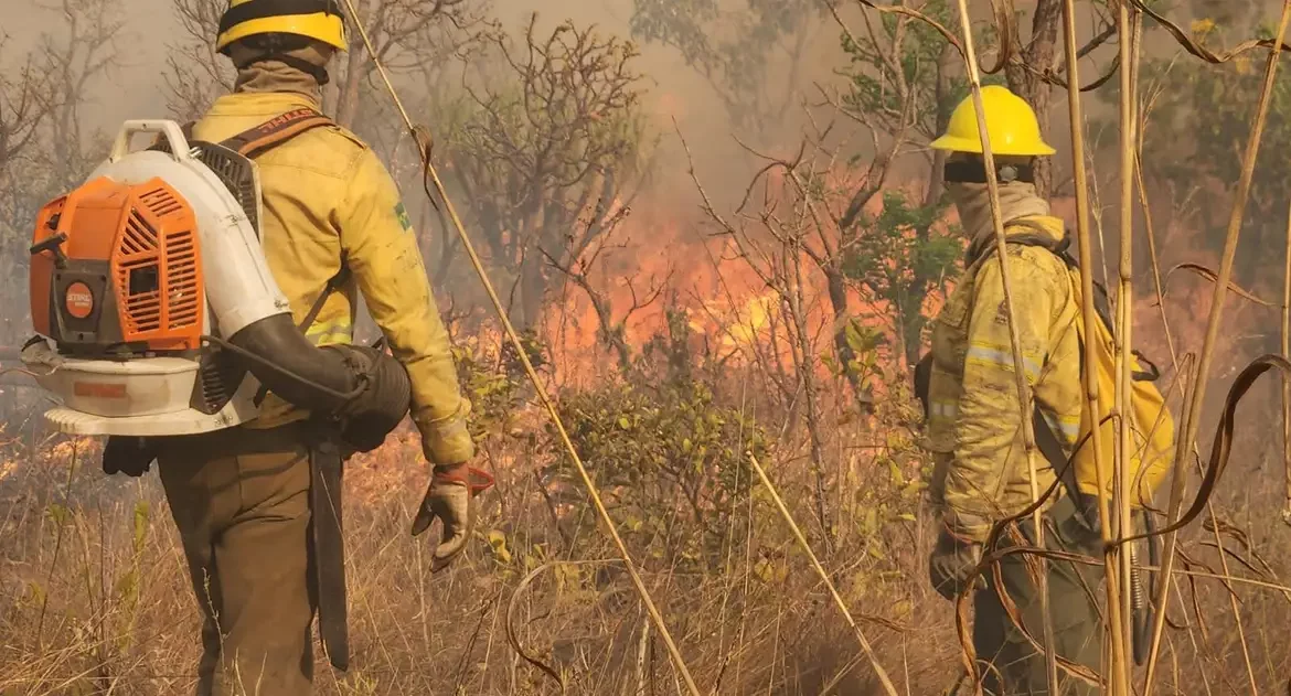 Ações do país evitaram cenário pior de secas e queimadas, diz Marina