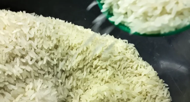 Conab vai doar sementes de arroz para agricultores familiares do RS