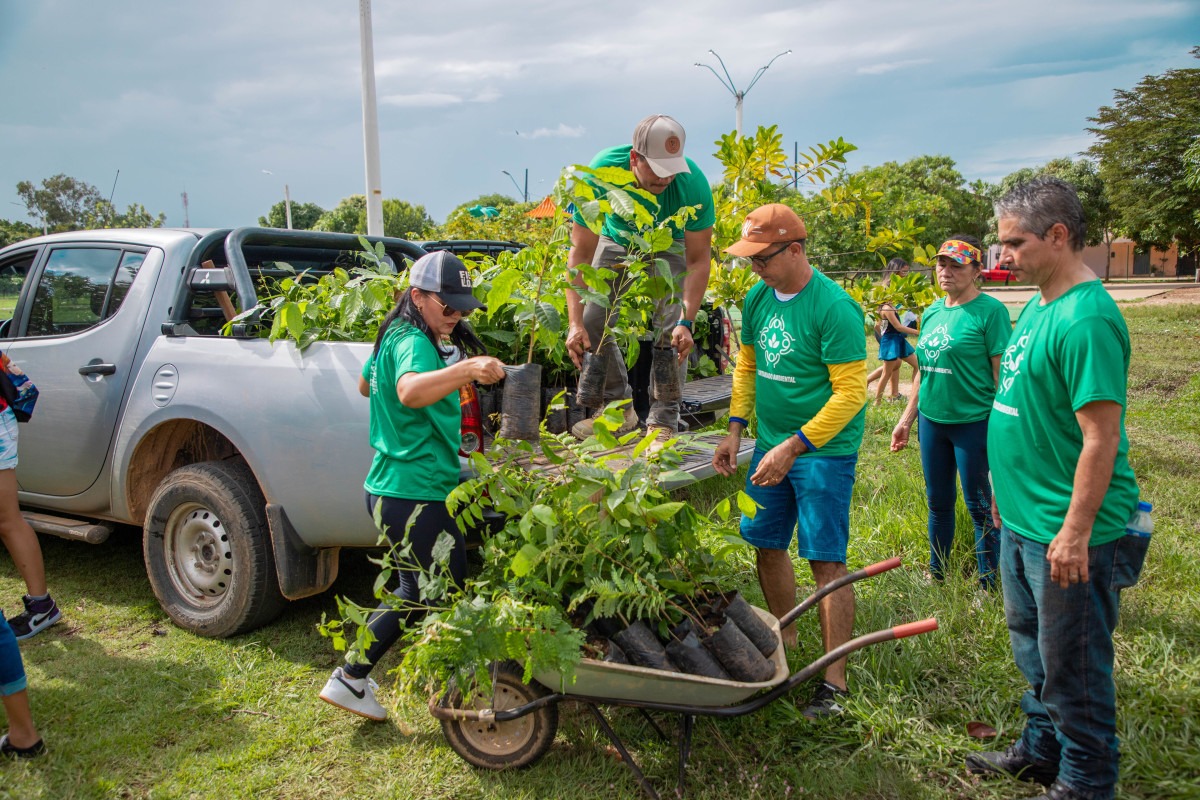 DIA DA ÁRVORE - Plantio de mudas e outras iniciativas têm contribuído para a recuperação de áreas degradadas de Porto Velho - News Rondônia DIA DA ÁRVORE - Plantio de mudas e outras iniciativas têm contribuído para a recuperação de áreas degradadas de Porto Velho - News Rondônia